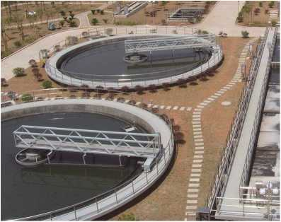 ZBXN型(xing)週邊傳動半橋虹吸式(shi)吸泥(ni)機